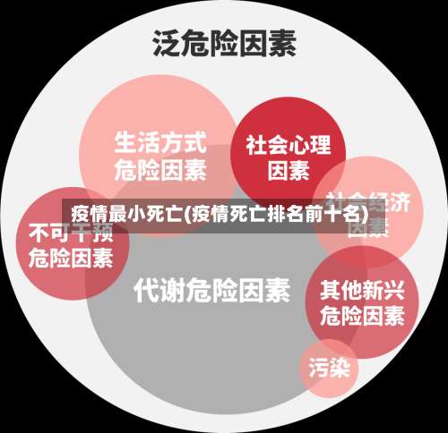 疫情最小死亡(疫情死亡排名前十名)