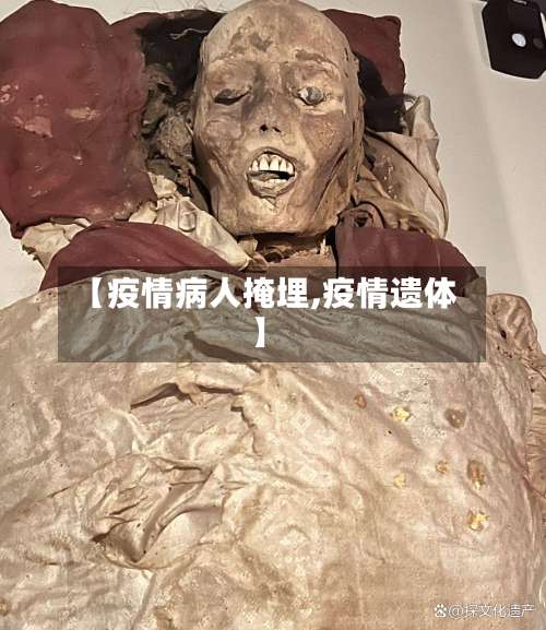 【疫情病人掩埋,疫情遗体】-第2张图片