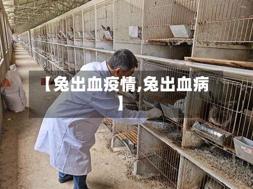【兔出血疫情,兔出血病】-第2张图片