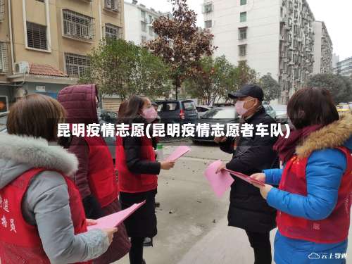 昆明疫情志愿(昆明疫情志愿者车队)-第2张图片