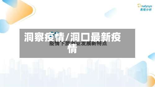 洞察疫情/洞口最新疫情