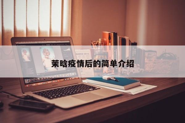 茉晗疫情后的简单介绍