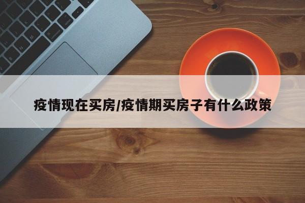 疫情现在买房/疫情期买房子有什么政策